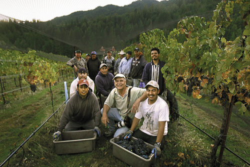 Eric with harvesters in the vineyard and bins of grapes