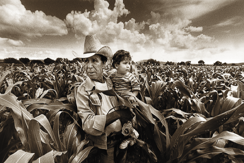 Vintage yellow photo of a grandfather holding his grandson in the middle of a cornfield