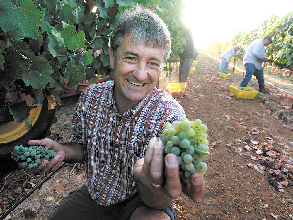 Markus Bokisch holding albarino grapes in the vineyard